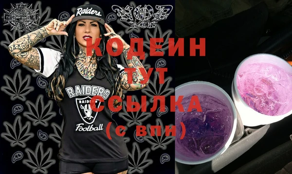 не бодяженный Инсар