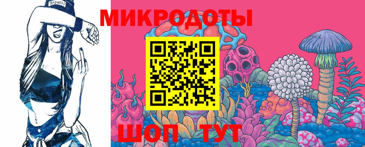 Галлюциногенные грибы Psilocybe Салават