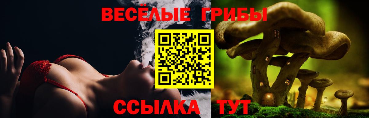 Галлюциногенные грибы прущие грибы  Псилоцибиновые грибы MAGIC MUSHROOMS  Салават  Вход с VPN 